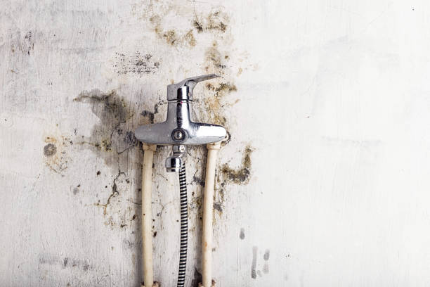 Best Post-Flood Mold Remediation in Groesbeck, OH
