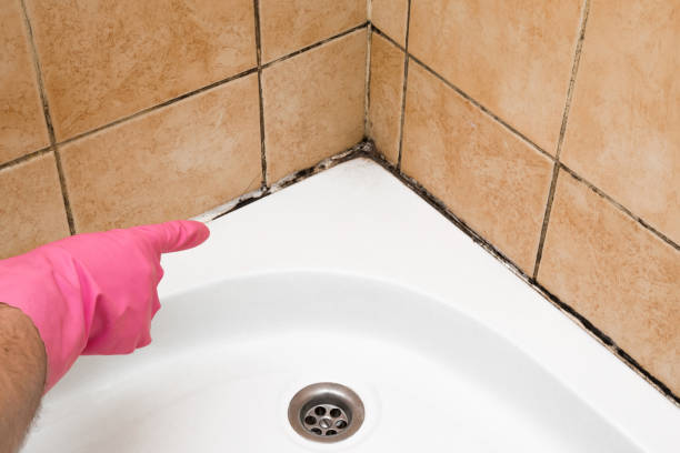 Best HVAC Mold Remediation in Groesbeck, OH